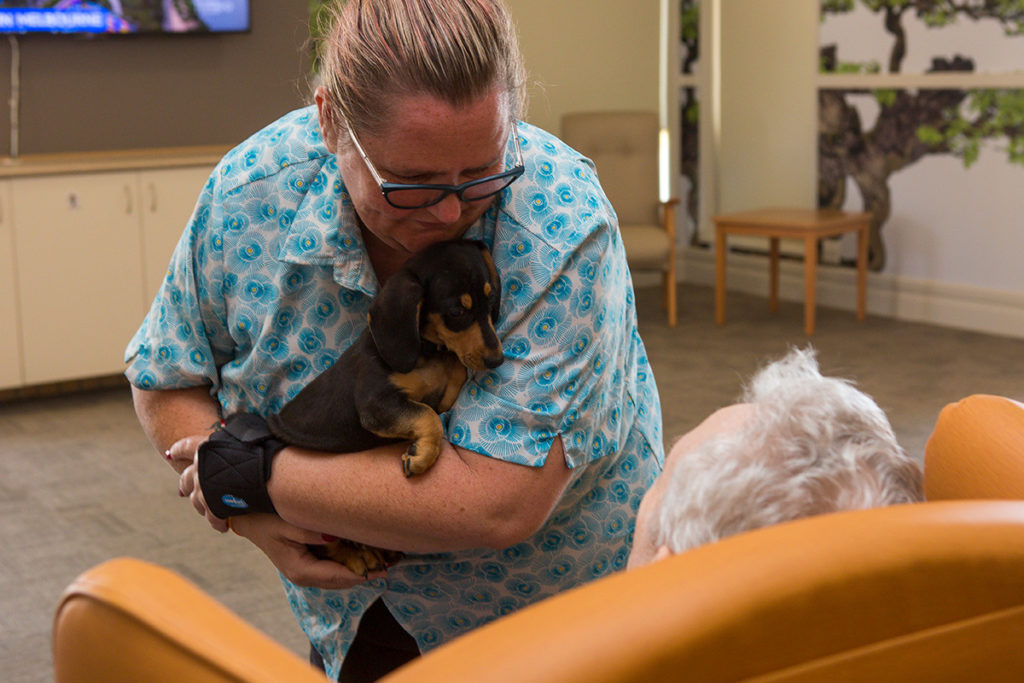 Pet Therapy in Aged Care